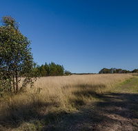 Scheyville horse riding trails - VIC Tourism