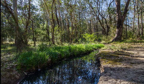Scheyville Horse Riding Trails - VIC Tourism 2