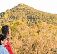 Piles Creek loop - VIC Tourism