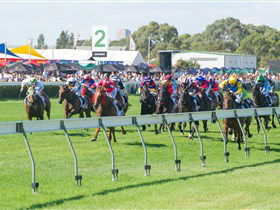 Morphettville Racecourse - VIC Tourism 0