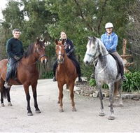 Academy of Dressage - VIC Tourism