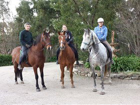 Academy Of Dressage - VIC Tourism 0