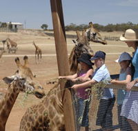 Monarto Open Range Zoo - VIC Tourism