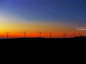 Starfish Hill Windfarm - VIC Tourism 0