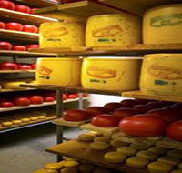 Alexandrina Cheese Company - VIC Tourism