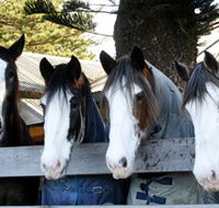 Victor Harbor Horse Drawn Tramway - VIC Tourism