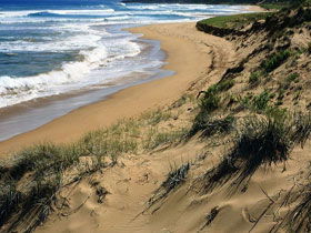  VIC Tourism
