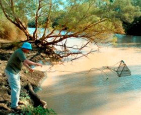 Charleville - Ward River Fishing Spot - VIC Tourism 0