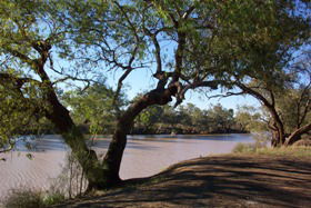 Charleville - Bakers Bend Warrego River Fishing Spot - VIC Tourism 1