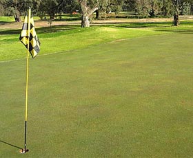 Wentworth Sporting Complex - VIC Tourism 0