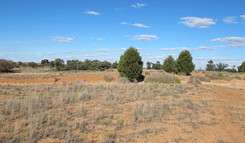Zanci Pastoral Loop - VIC Tourism 3