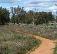 Grasslands Nature trail - VIC Tourism