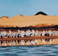Coorong National Park - VIC Tourism