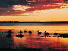 Coorong National Park - VIC Tourism 1