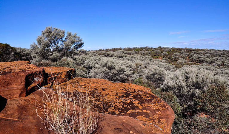 Cubba NSW VIC Tourism