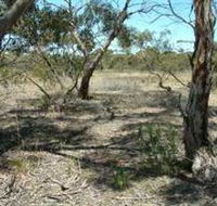 Tintinara Walking Trail - VIC Tourism
