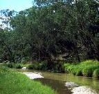 Salvator Rosa Section - Carnarvon National Park - VIC Tourism