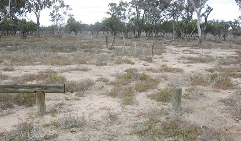  VIC Tourism