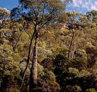 Ka Ka Mundi Carnarvon National Park - VIC Tourism