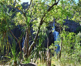 Manngarre Rainforest Walk - VIC Tourism 1