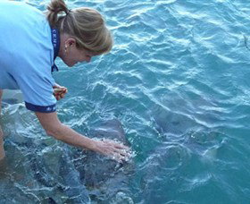 Aquascene - VIC Tourism 2