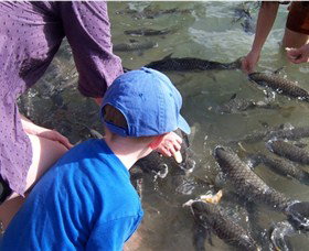 Aquascene - VIC Tourism 0