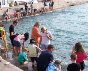 Aquascene - VIC Tourism 3