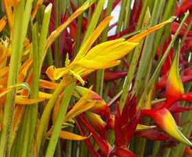 Parap Markets - VIC Tourism 1