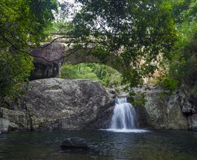 Paluma And Crystal Creek Rainforest - VIC Tourism 0