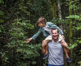 Paluma And Crystal Creek Rainforest - VIC Tourism 1