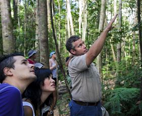 Paluma And Crystal Creek Rainforest - VIC Tourism 2