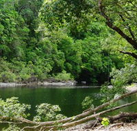 Broadwater Abergowrie State Forest - VIC Tourism