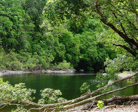 Broadwater, Abergowrie State Forest - VIC Tourism 0