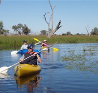 Marsh Meanders - VIC Tourism