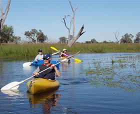 Marsh Meanders - VIC Tourism 0