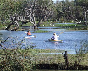 Marsh Meanders - VIC Tourism 2