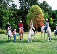 Limestone Coast Horseriding - VIC Tourism