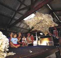 Shear Outback the Australian Shearers Hall of Fame - VIC Tourism