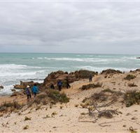The Seaview Walking Trail - VIC Tourism