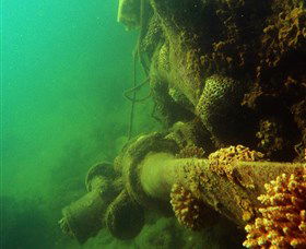 Wreck Diving At Magnetic Island - VIC Tourism 0