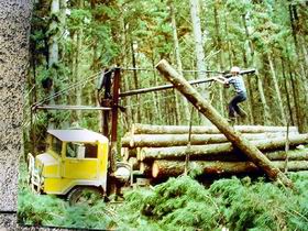 Nangwarry Forestry And Logging Museum - VIC Tourism 3