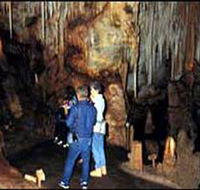 Tantanoola Caves Conservation Park - VIC Tourism