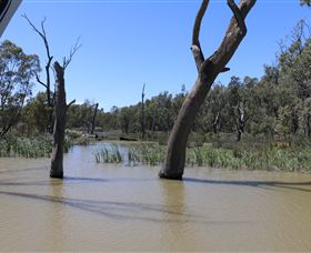Wetlander Cruises - VIC Tourism 4