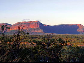 Blackdown Tableland National Park - VIC Tourism 0