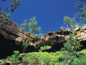 Blackdown Tableland National Park - VIC Tourism 1