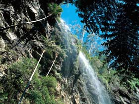 Blackdown Tableland National Park - VIC Tourism 2