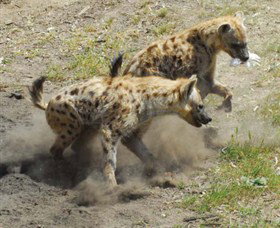 Darlington Point ACT VIC Tourism