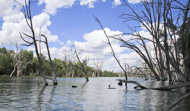 Gillenbah NSW VIC Tourism