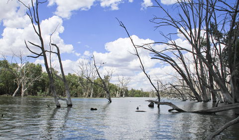 Murrumbidgee Valley National Park - VIC Tourism 0