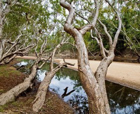 Oyala Thumotang National Park (CYPAL) - VIC Tourism 0